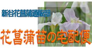 トップ画像
